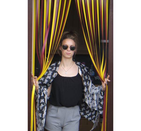 Heavy Duty Bug Blind,Fly Blind,Strip Blind, Door Blind-BURGUNDY/YELLOW