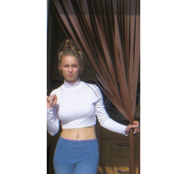 Heavy Duty Bug Blind,Fly Blind,Strip Blind, Door Blind-CHOCOLATE