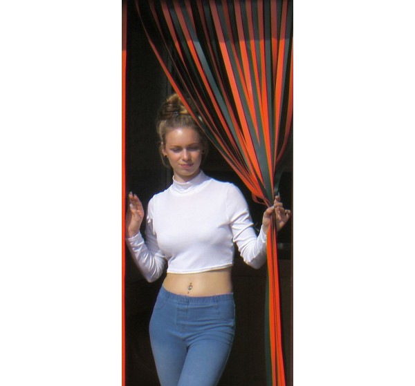 Heavy Duty Bug Blind,Fly Blind,Strip Blind, Door Blind-ORANGE/GREEN